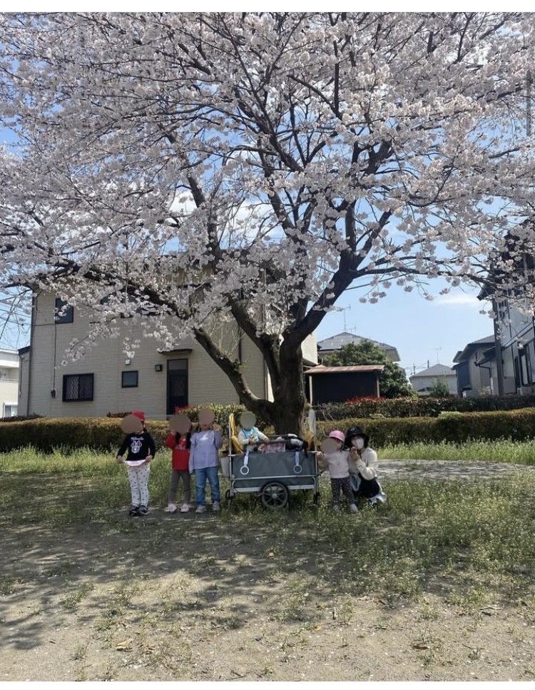 画像：【お花見】