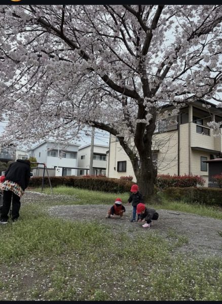 画像：【ありがとうの春】